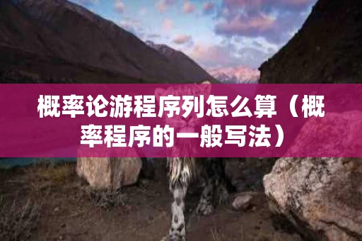 概率论游程序列怎么算（概率程序的一般写法）