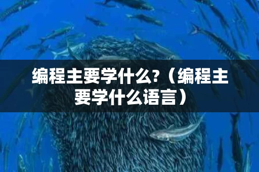 编程主要学什么?（编程主要学什么语言）