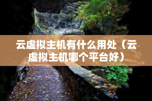 云虚拟主机有什么用处（云虚拟主机哪个平台好）