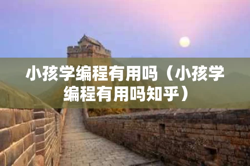 小孩学编程有用吗（小孩学编程有用吗知乎）