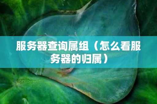 服务器查询属组（怎么看服务器的归属）