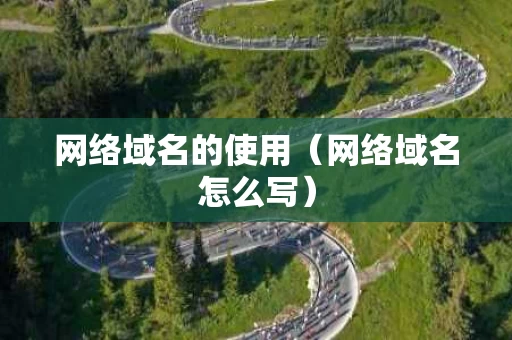 网络域名的使用（网络域名怎么写）