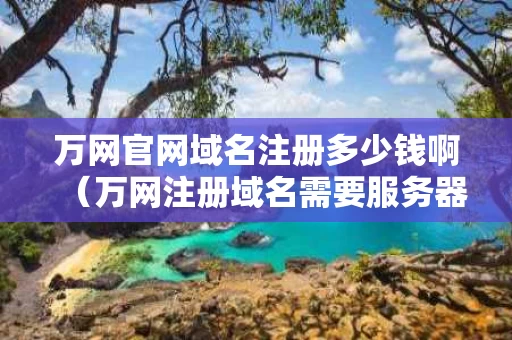 万网官网域名注册多少钱啊（万网注册域名需要服务器么）