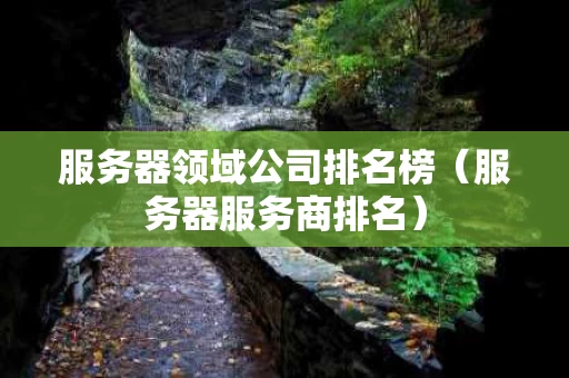 服务器领域公司排名榜（服务器服务商排名）