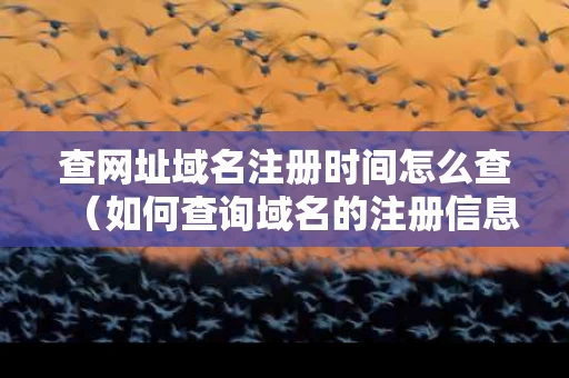 查网址域名注册时间怎么查（如何查询域名的注册信息）