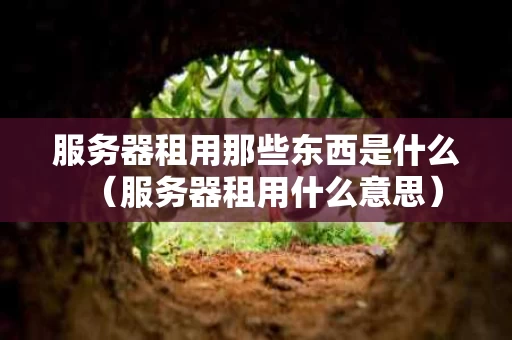 服务器租用那些东西是什么（服务器租用什么意思）