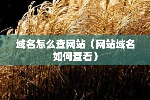 域名怎么查网站（网站域名如何查看）
