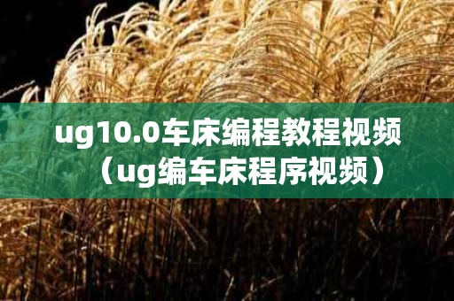 ug10.0车床编程教程视频（ug编车床程序视频）