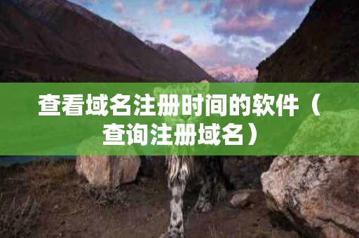 查看域名注册时间的软件（查询注册域名）