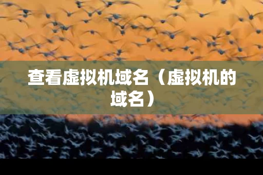 查看虚拟机域名（虚拟机的域名）