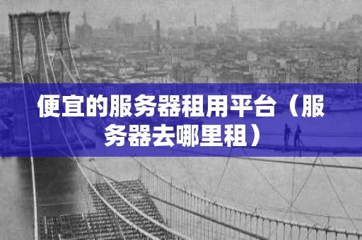 便宜的服务器租用平台（服务器去哪里租）