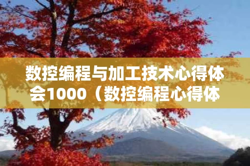 数控编程与加工技术心得体会1000（数控编程心得体会300字）