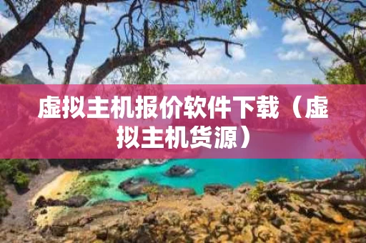 虚拟主机报价软件下载（虚拟主机货源）