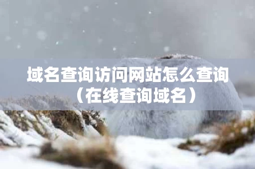域名查询访问网站怎么查询（在线查询域名）