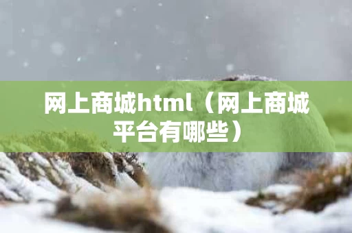 网上商城html（网上商城平台有哪些）