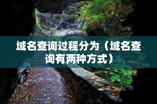 域名查询过程分为（域名查询有两种方式）
