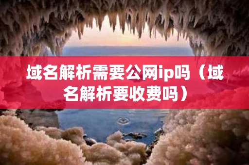 域名解析需要公网ip吗（域名解析要收费吗）