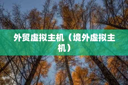 外贸虚拟主机（境外虚拟主机）