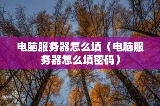 电脑服务器怎么填（电脑服务器怎么填密码）