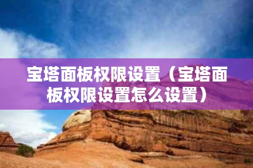 宝塔面板权限设置（宝塔面板权限设置怎么设置）