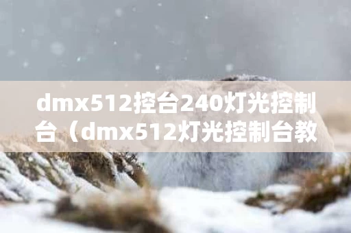 dmx512控台240灯光控制台（dmx512灯光控制台教程 使用方法）