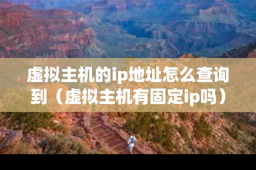 虚拟主机的ip地址怎么查询到（虚拟主机有固定ip吗）
