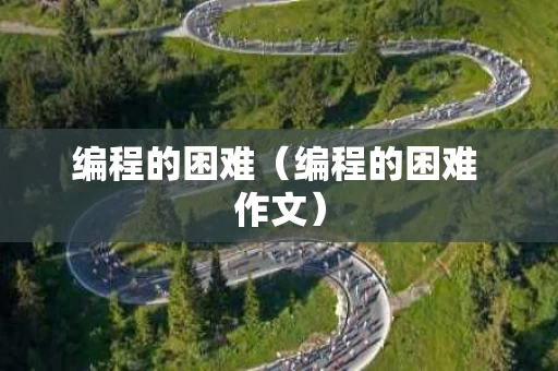 编程的困难（编程的困难 作文）