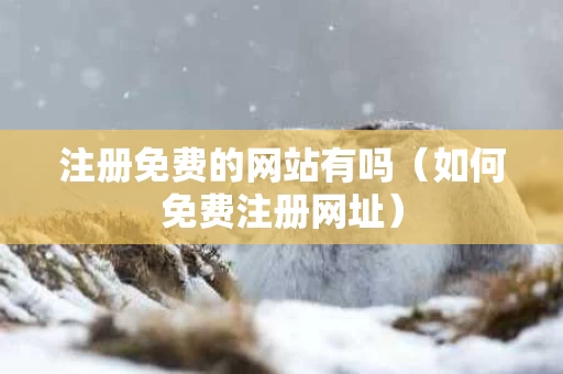 注册免费的网站有吗（如何免费注册网址）