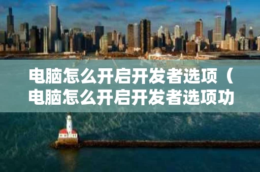 电脑怎么开启开发者选项（电脑怎么开启开发者选项功能）