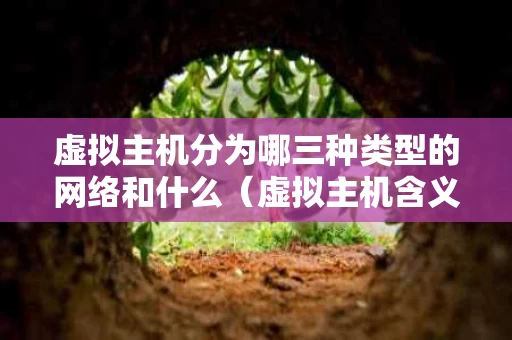 虚拟主机分为哪三种类型的网络和什么（虚拟主机含义）