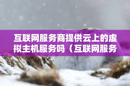 互联网服务商提供云上的虚拟主机服务吗（互联网服务提供商有哪些网站）