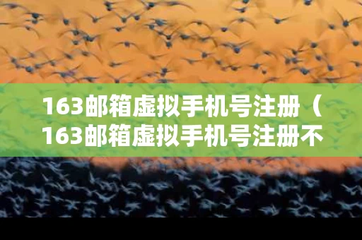 163邮箱虚拟手机号注册（163邮箱虚拟手机号注册不了）