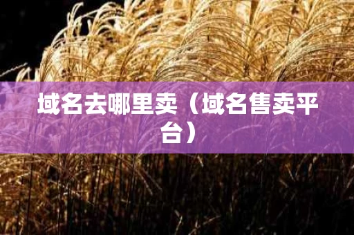 域名去哪里卖（域名售卖平台）