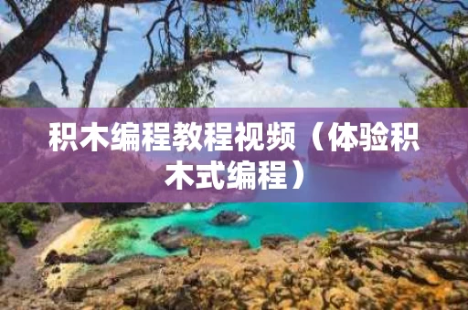 积木编程教程视频（体验积木式编程）