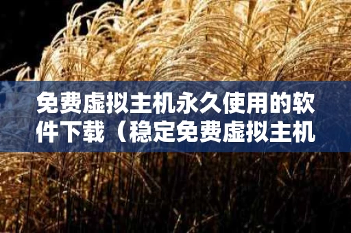 免费虚拟主机永久使用的软件下载（稳定免费虚拟主机）