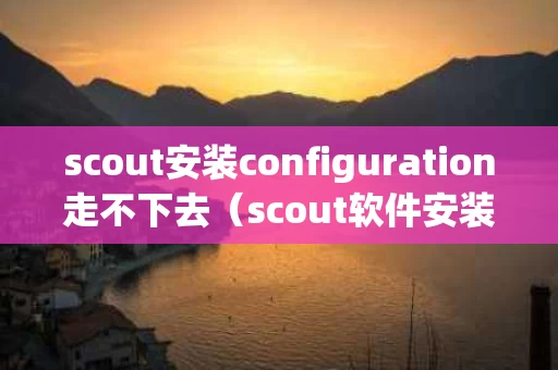 scout安装configuration走不下去（scout软件安装流程）