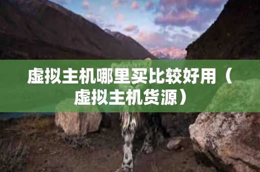 虚拟主机哪里买比较好用（虚拟主机货源）