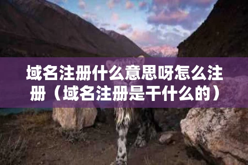 域名注册什么意思呀怎么注册（域名注册是干什么的）
