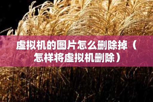 虚拟机的图片怎么删除掉（怎样将虚拟机删除）