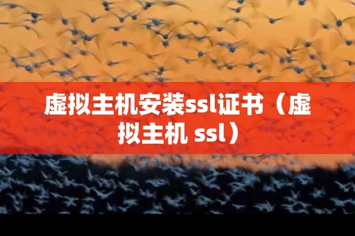 虚拟主机安装ssl证书（虚拟主机 ssl）