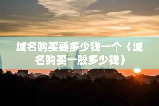 域名购买要多少钱一个（域名购买一般多少钱）