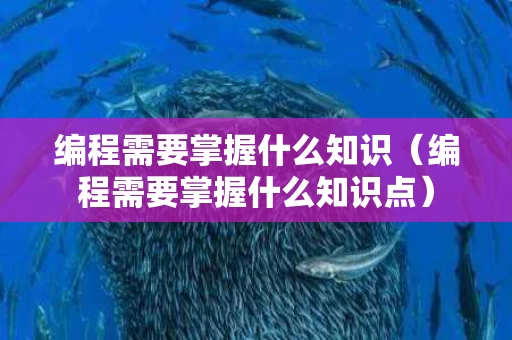 编程需要掌握什么知识（编程需要掌握什么知识点）