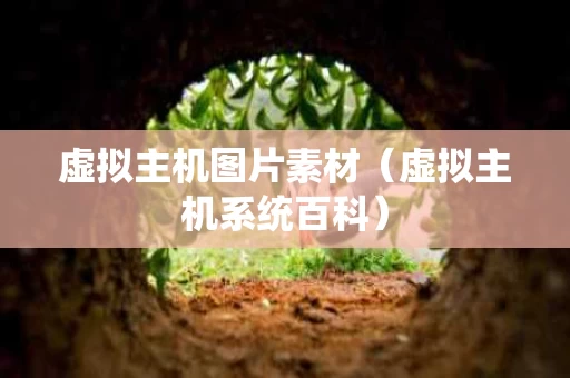 虚拟主机图片素材（虚拟主机系统百科）