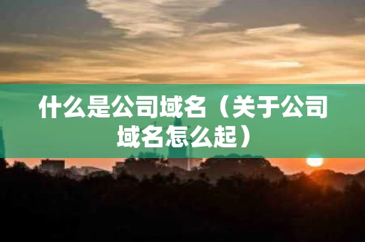 什么是公司域名（关于公司域名怎么起）
