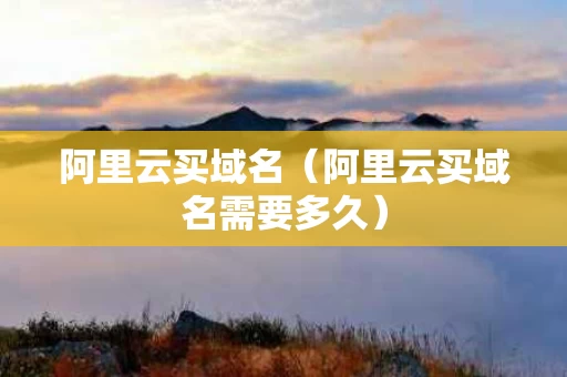 阿里云买域名（阿里云买域名需要多久）