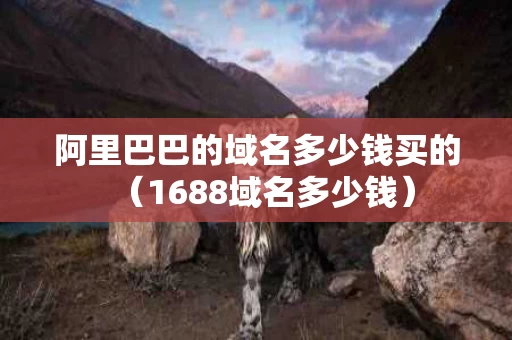 阿里巴巴的域名多少钱买的（1688域名多少钱）