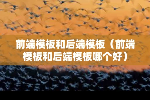 前端模板和后端模板（前端模板和后端模板哪个好）