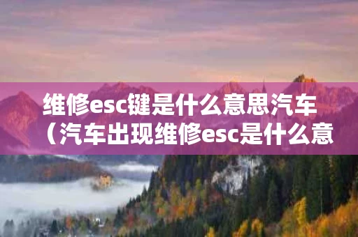 维修esc键是什么意思汽车（汽车出现维修esc是什么意思）