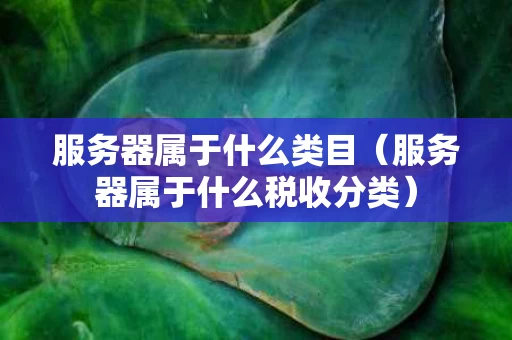 服务器属于什么类目（服务器属于什么税收分类）