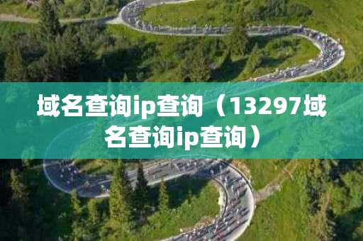 域名查询ip查询（13297域名查询ip查询）